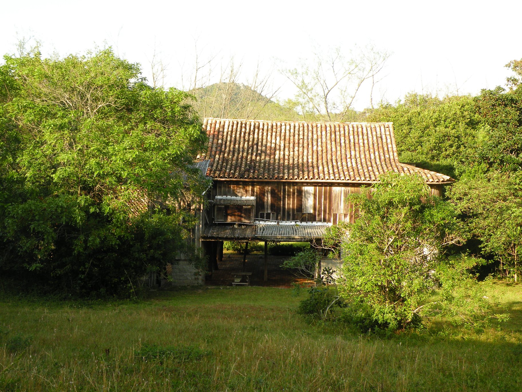Projeto Gaia Village